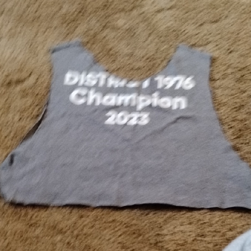 Gray Cropped Tank with White Text